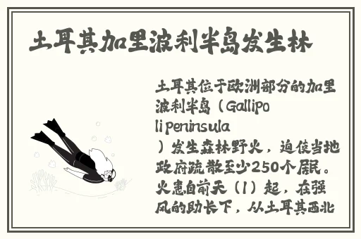 а√最新版在线天堂鲁大师